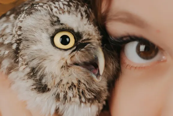 PlayHub Casino Podrška